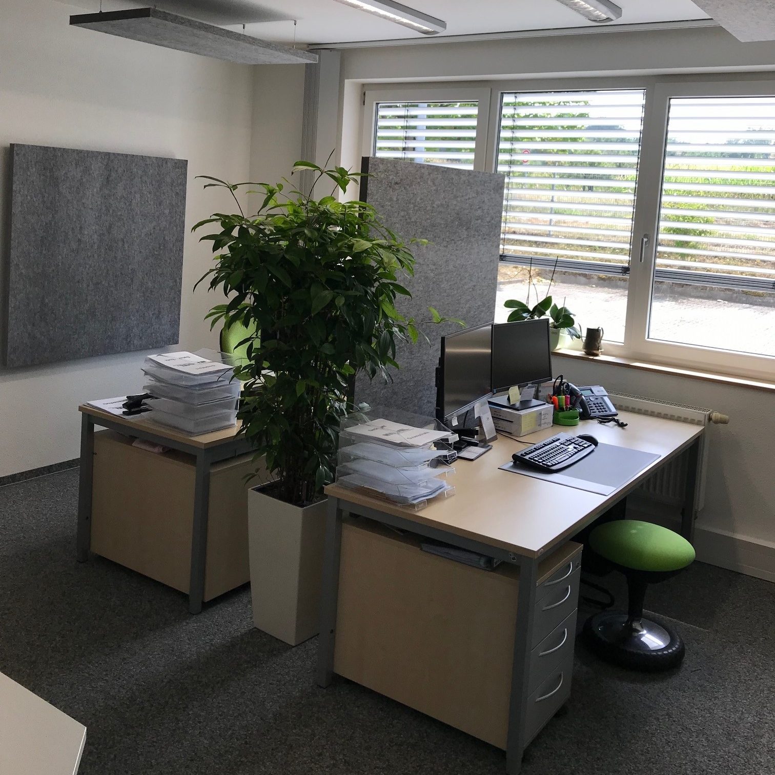 Schallschutz-Büro